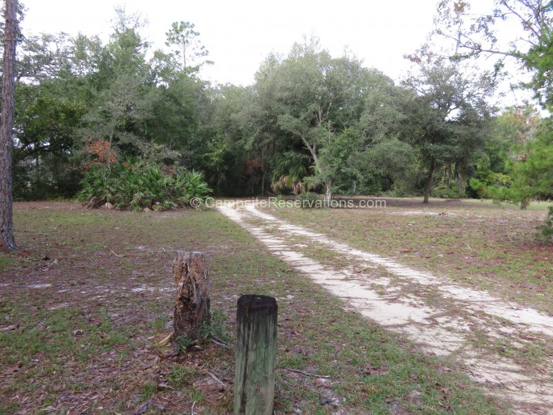 Shanty Pond Campground at Ocala National Forest, Florida, United States